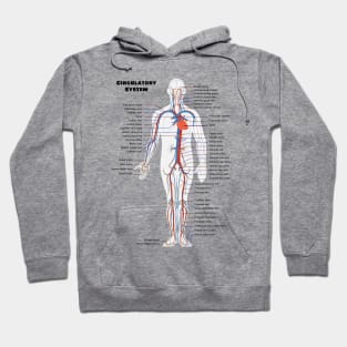 Human Circulatoy System Chart Hoodie